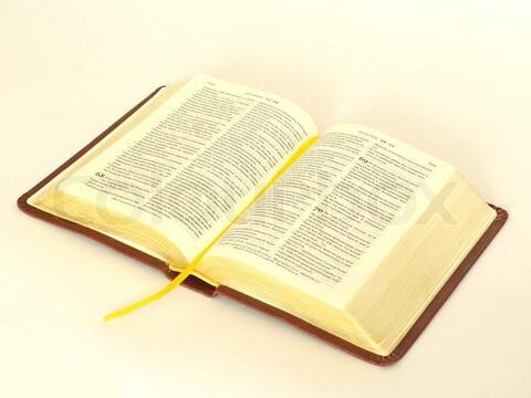 BIBLE PRIMARY PIC.jpg BIBLE PRIMARY PIC.jpg